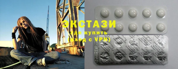 ECSTASY Богданович