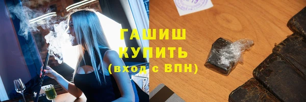 spice Богородицк