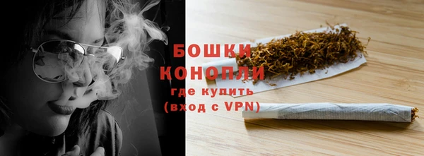 ECSTASY Богданович