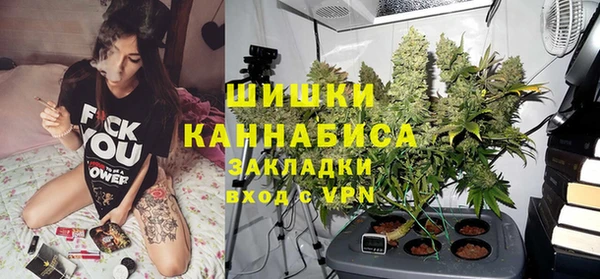 spice Богородицк