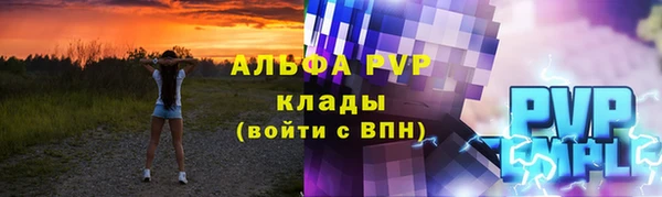 spice Богородицк