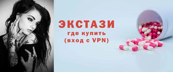 ECSTASY Богданович