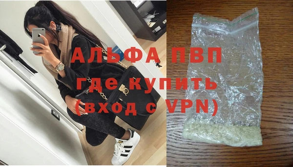 spice Богородицк