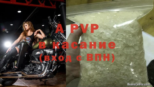 spice Богородицк
