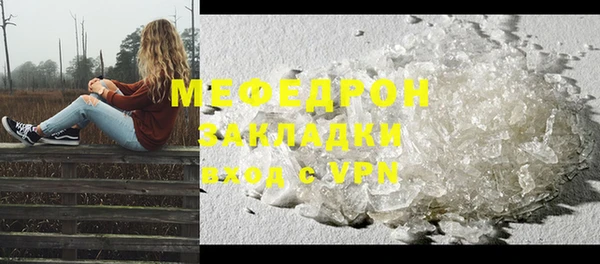 spice Богородицк