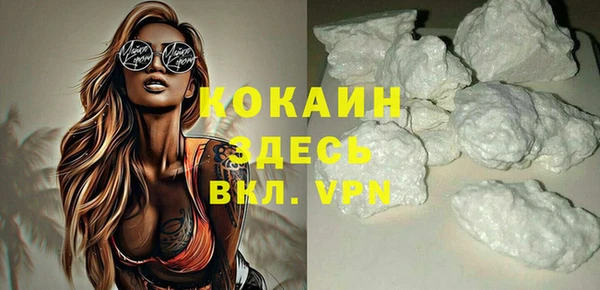 spice Богородицк