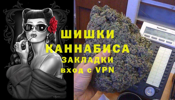 ECSTASY Богданович