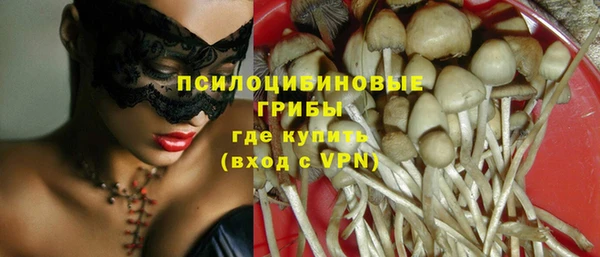 spice Богородицк