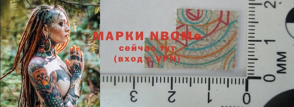 spice Богородицк