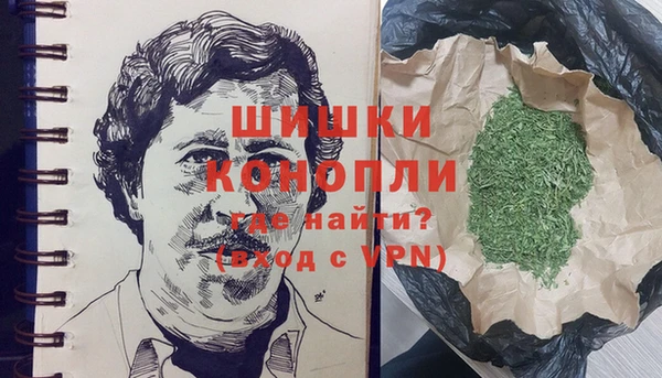 ECSTASY Богданович