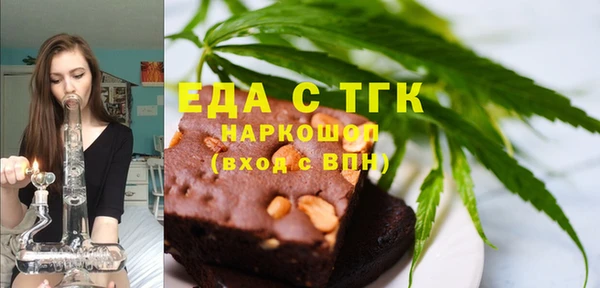 spice Богородицк