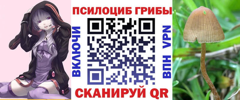 купить наркотик  Михайлов  Галлюциногенные грибы Cubensis 